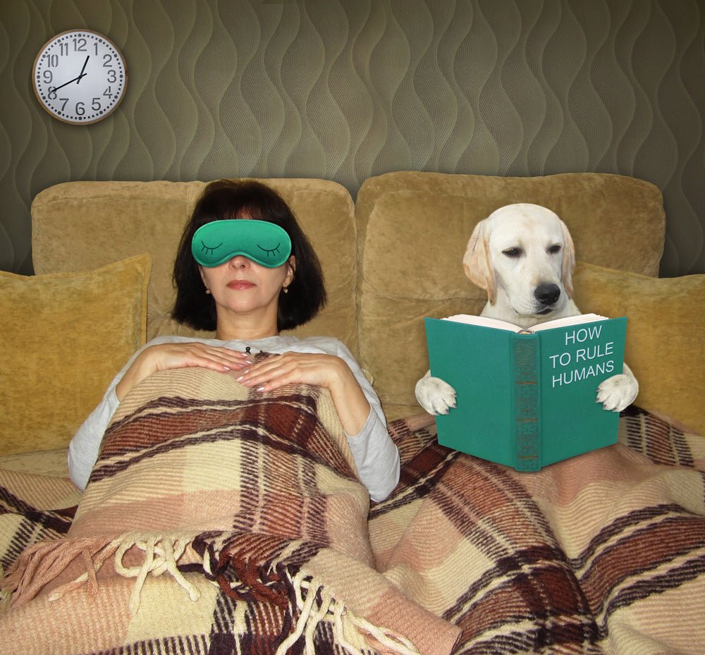 The 10 Best Supplements For Deep Sleep Revealed - BrickHouse Nutrition
