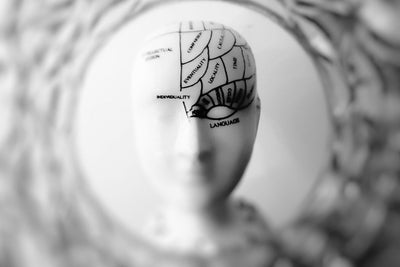 The 4 Best Supplements For Memory And Cognition Thumbnail