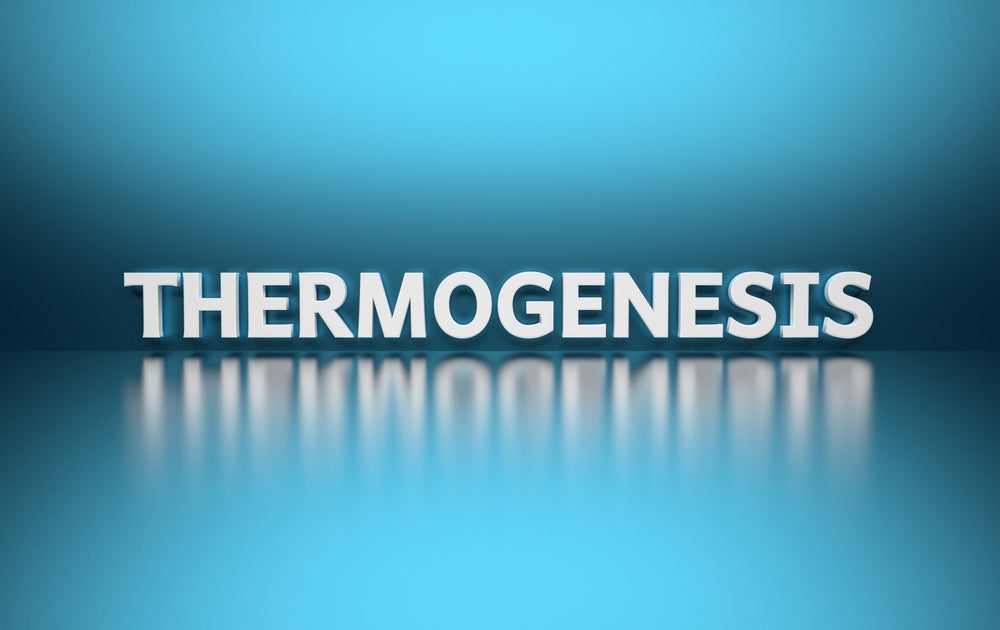 Your Complete Guide to Thermogenic Supplements for Weight Loss