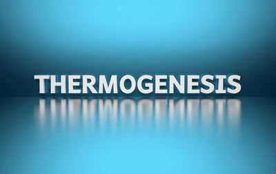 Your Complete Guide to Thermogenic Supplements for Weight Loss Thumbnail