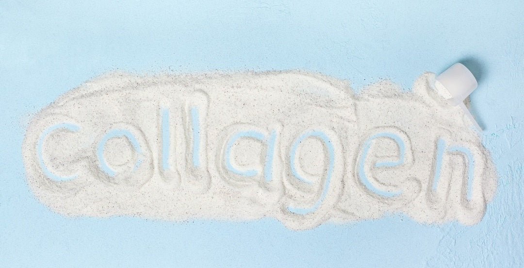 Type 2 Collagen: Uses, Side Effects, Interactions, And Dosage - BrickHouse Nutrition