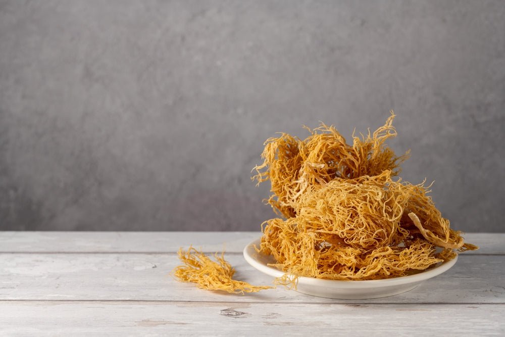 What’s Sea Moss and Why Are Health Experts Raving About It? - BrickHouse Nutrition
