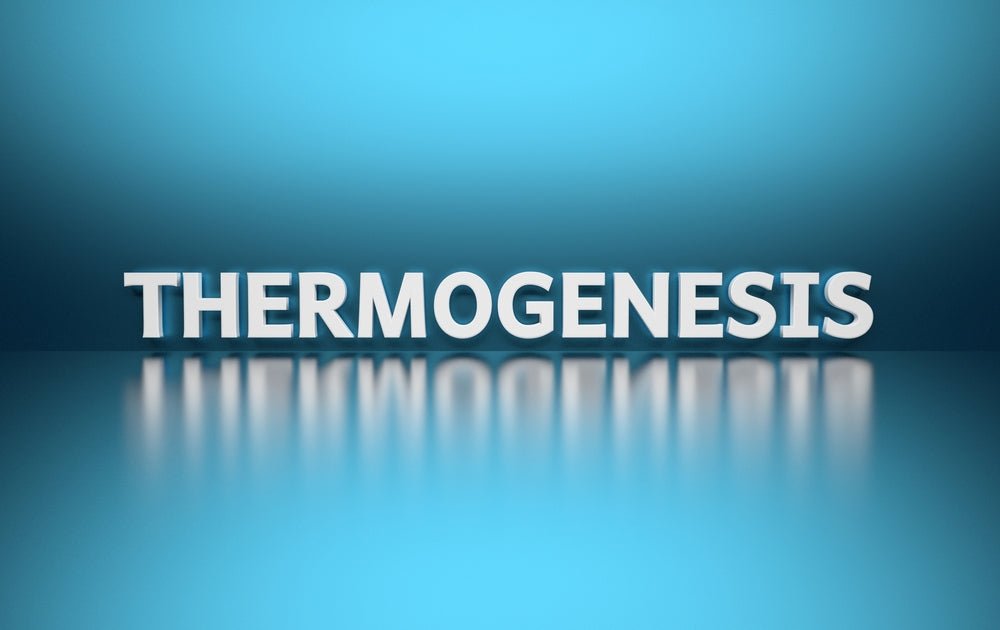 Your Complete Guide to Thermogenic Supplements for Weight Loss - BrickHouse Nutrition