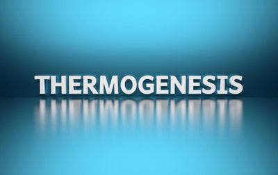 Your Complete Guide to Thermogenic Supplements for Weight Loss Thumbnail
